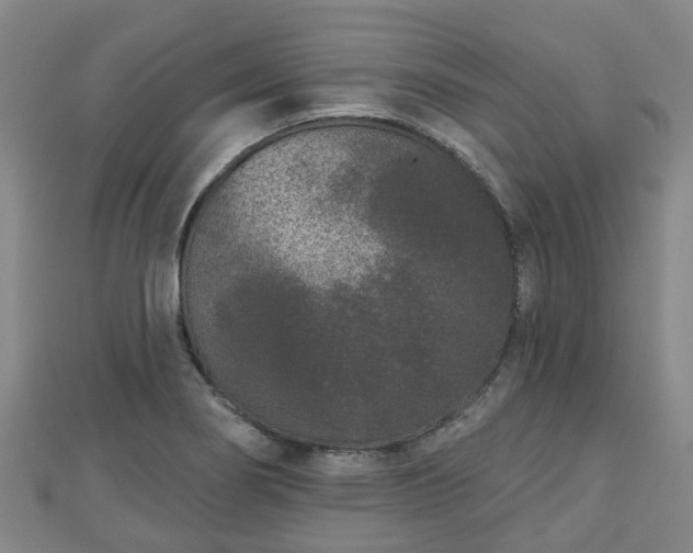 X0000110721274200906191458