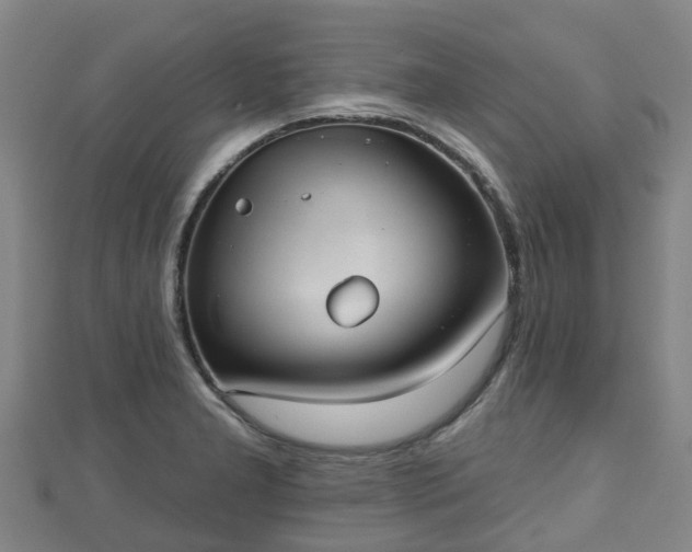 X0000110721277200906191458