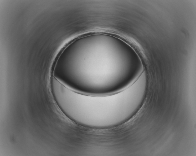 X0000110721280200906191458