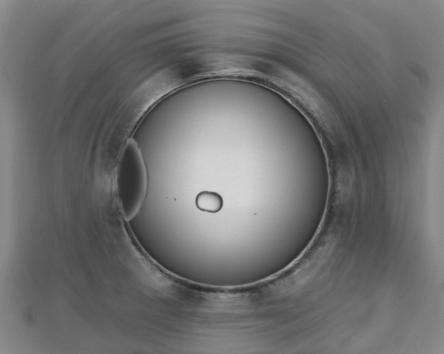 X0000110721281200906191458