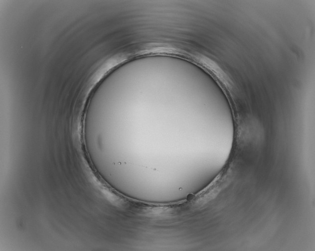 X0000110721282200906191458