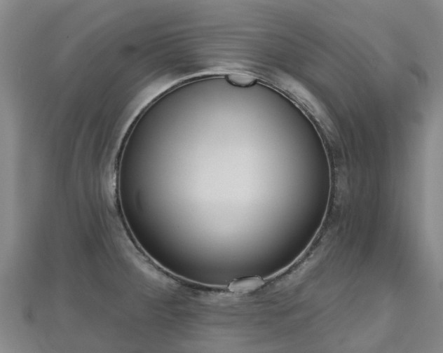 X0000110721284200906191458