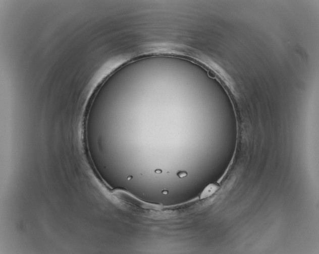 X0000110721285200906191458