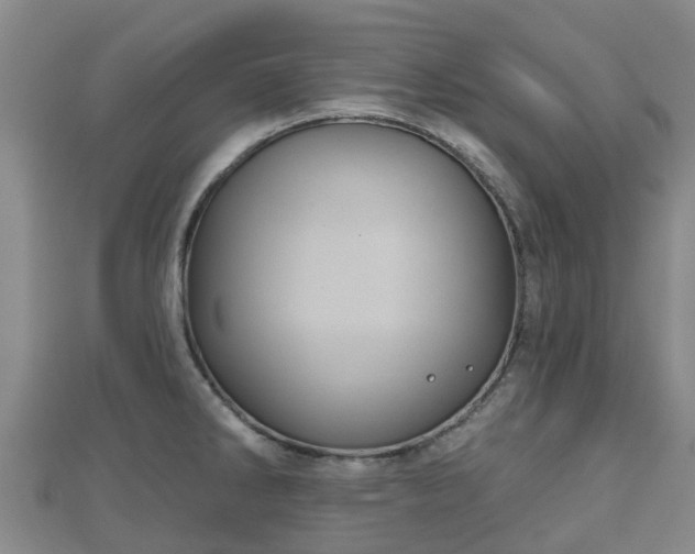 X0000110721286200906191458