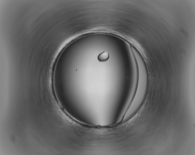 X0000110721288200906191458