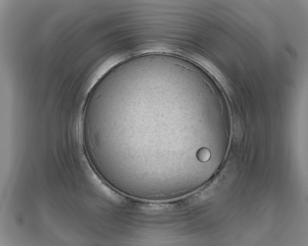 X0000110721290200906191458