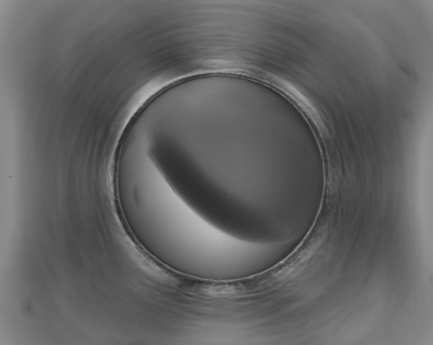 X0000110721291200906191458