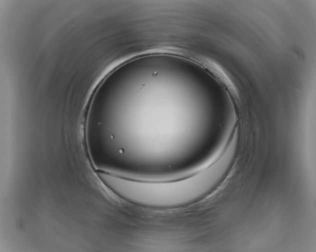 X0000110721292200906191458