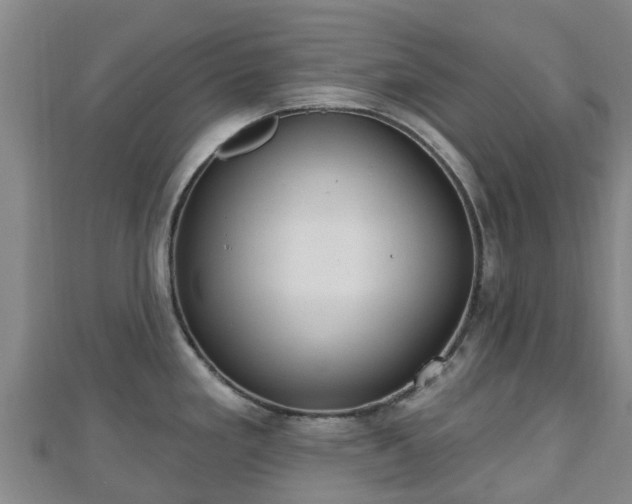 X0000110721293200906191458