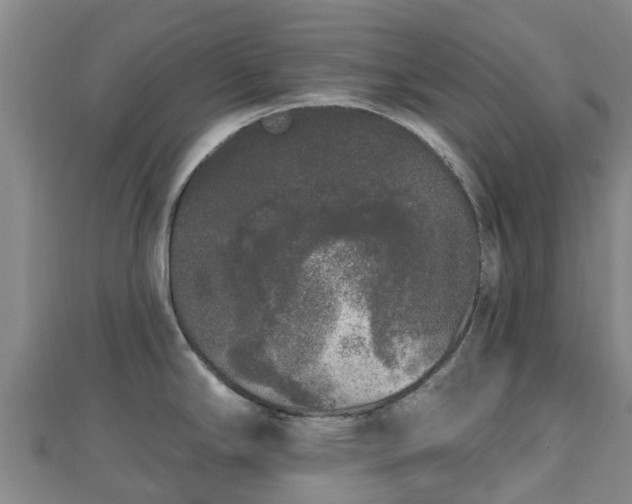 X0000110721294200906191458