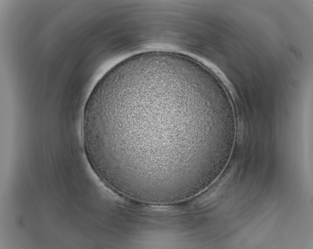 X0000110721295200906191458