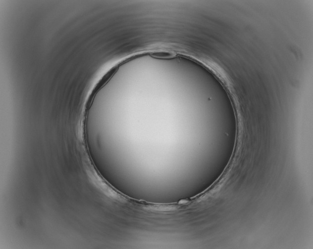 X0000110721296200906191458