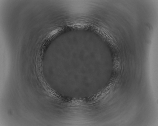 X0000110721297200906191457