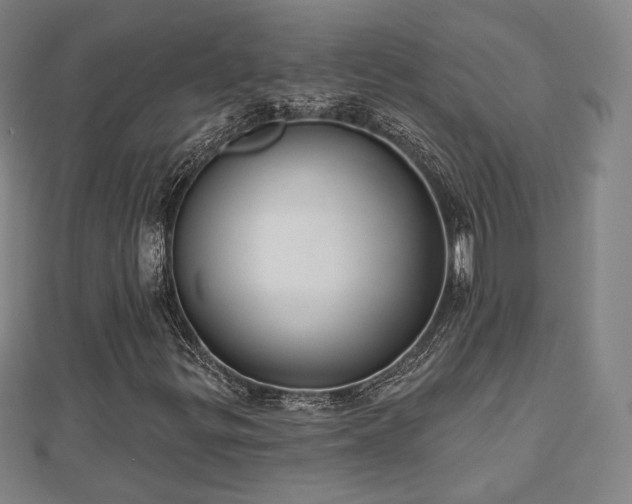 X0000110721299200906191457