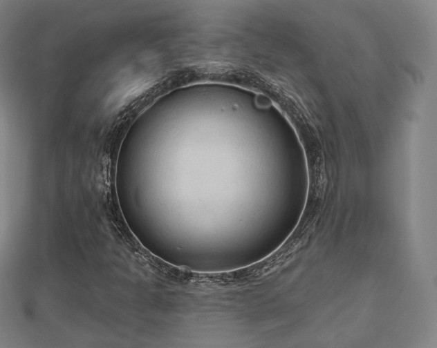 X0000110721301200906191457
