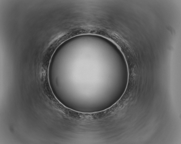 X0000110721302200906191457