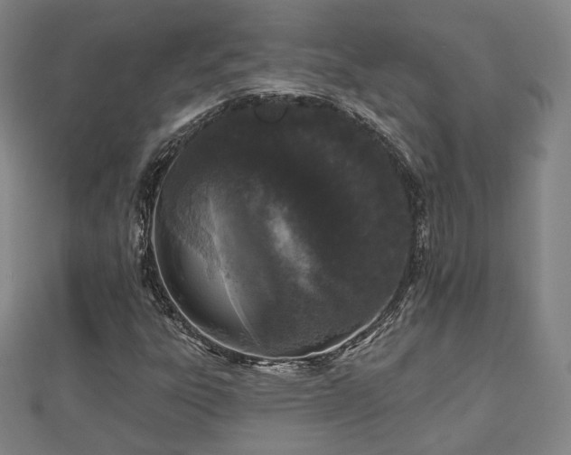 X0000110721303200906191457