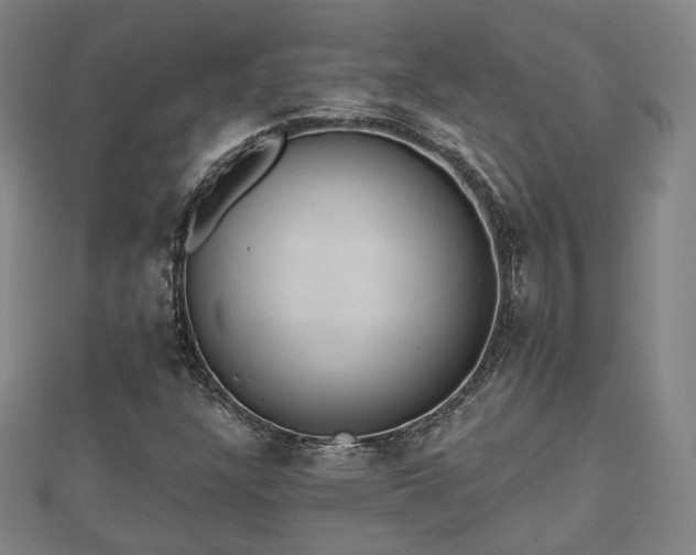 X0000110721304200906191457