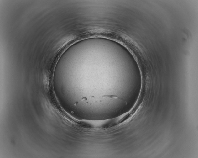 X0000110721305200906191457