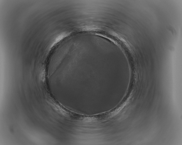 X0000110721306200906191457