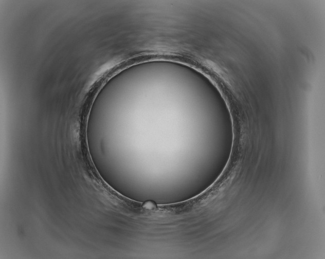 X0000110721307200906191457