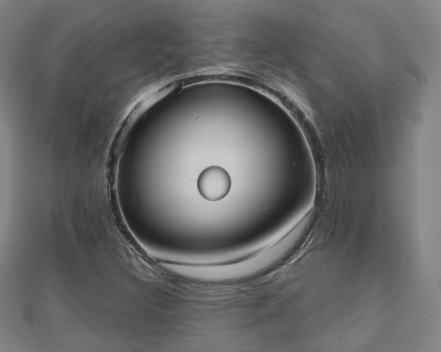 X0000110721308200906191457