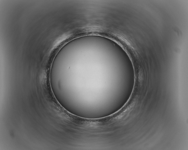 X0000110721309200906191457