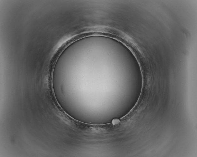 X0000110721312200906191457