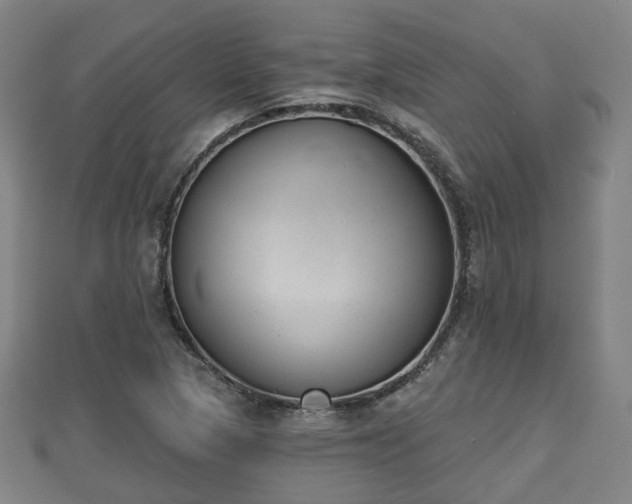 X0000110721313200906191457