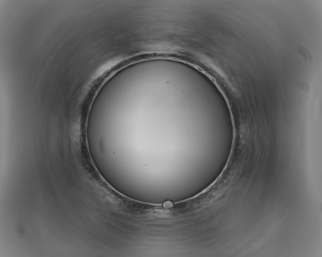 X0000110721315200906191457