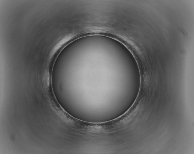 X0000110721317200906191457