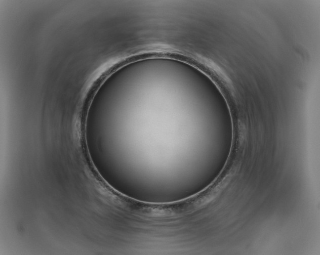X0000110721318200906191457