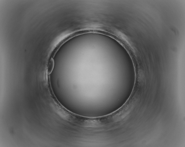 X0000110721320200906191457