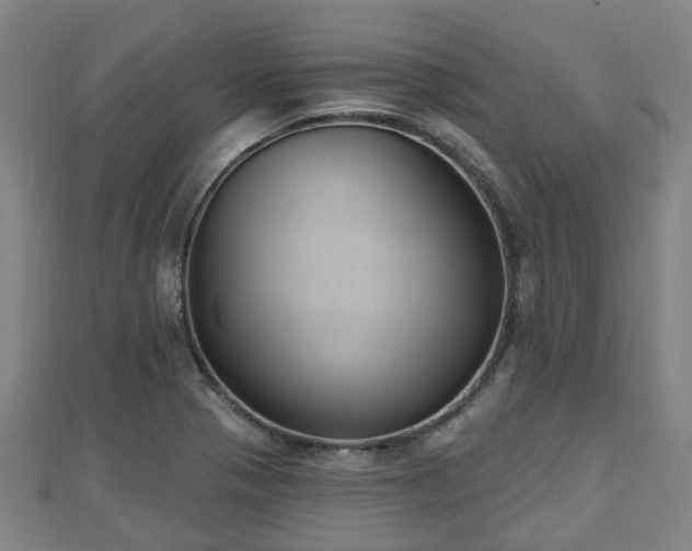 X0000110721321200906191457