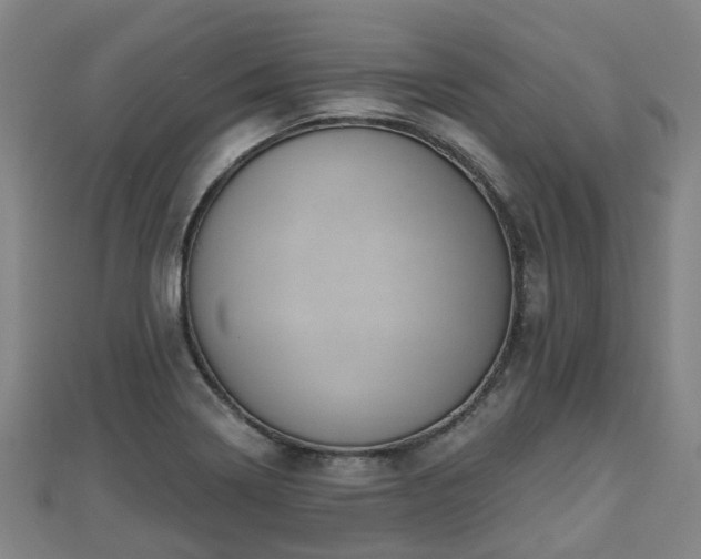 X0000110721322200906191457
