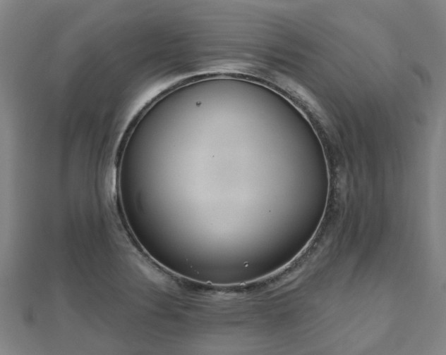 X0000110721324200906191457