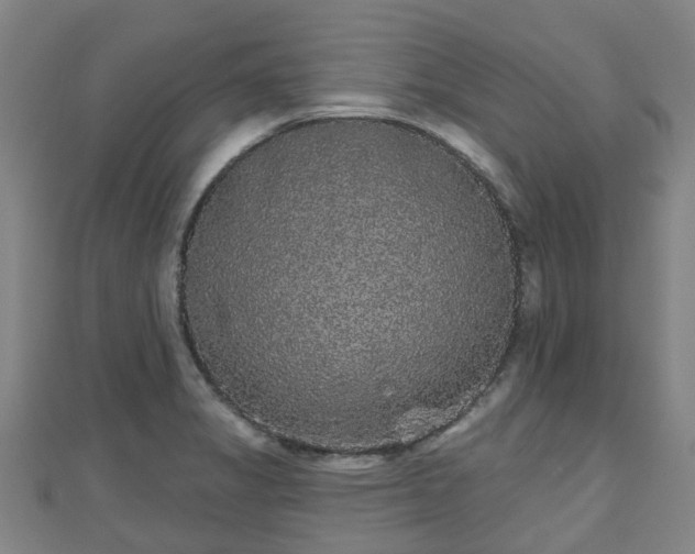 X0000110721325200906191457
