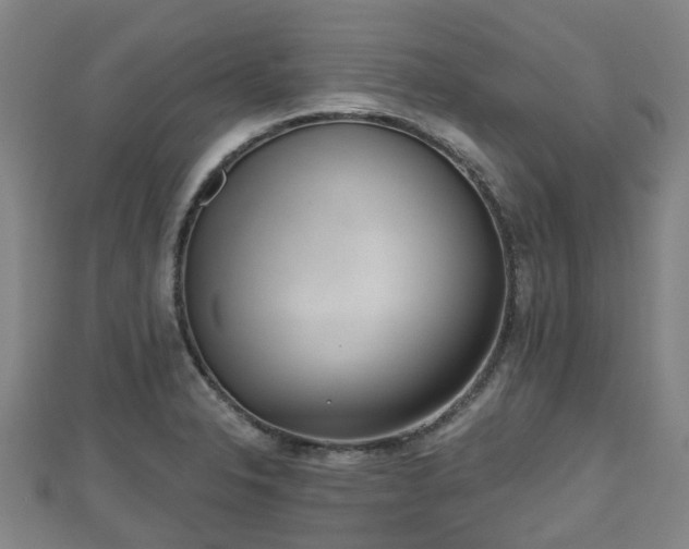 X0000110721326200906191457