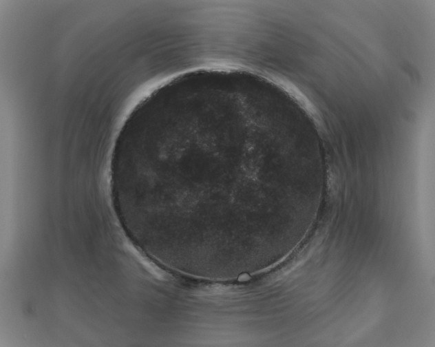 X0000110721327200906191457