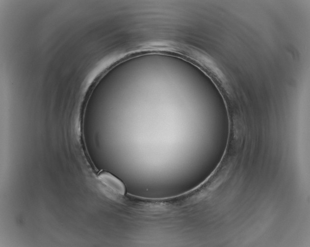X0000110721328200906191457