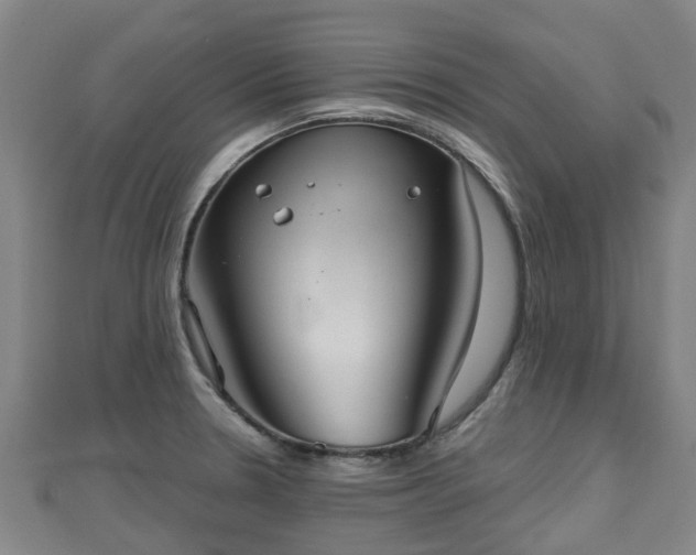 X0000110721330200906191458