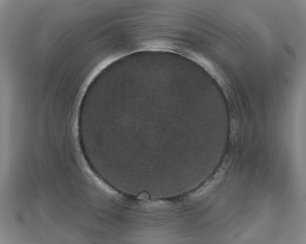 X0000110721331200906191458