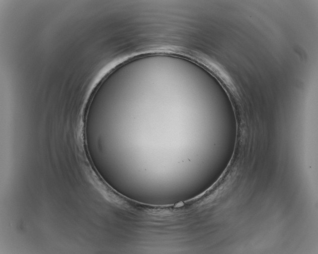 X0000110721332200906191458