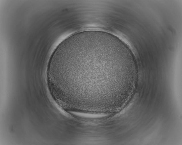 X0000110721333200906191458