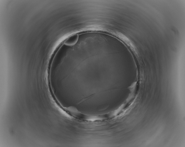 X0000110721334200906191458