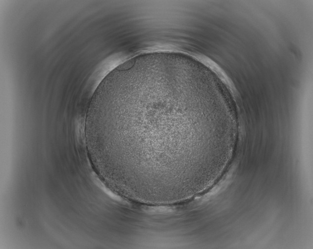 X0000110721337200906191458