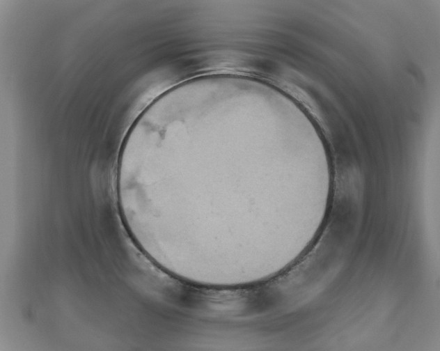 X0000110721338200906191458