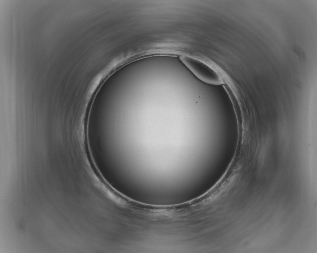 X0000110721341200906191458