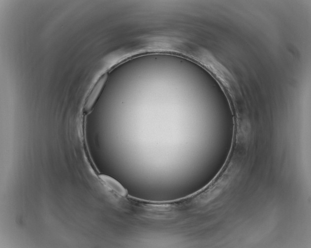 X0000110721342200906191458