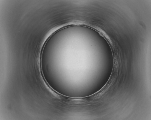 X0000110721343200906191458